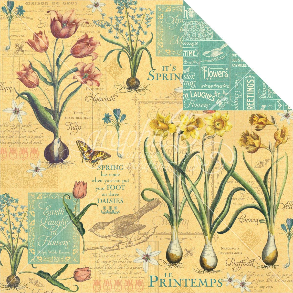 Graphic 45 Time to Flourish: April Flourish 12x12 DS Paper (1 Sheet)