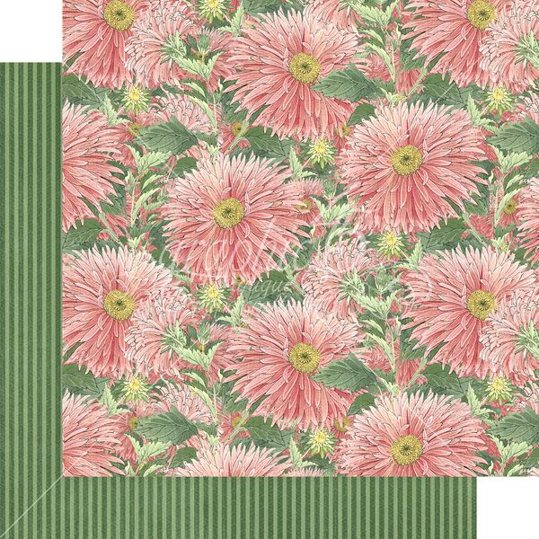 Graphic 45 Blossom: Brighten 12x12 DS Paper (1 Sheet)
