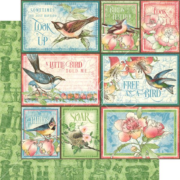 Graphic 45 Bird Watcher: Learn to Fly 12x12 DS Paper (1 Sheet)