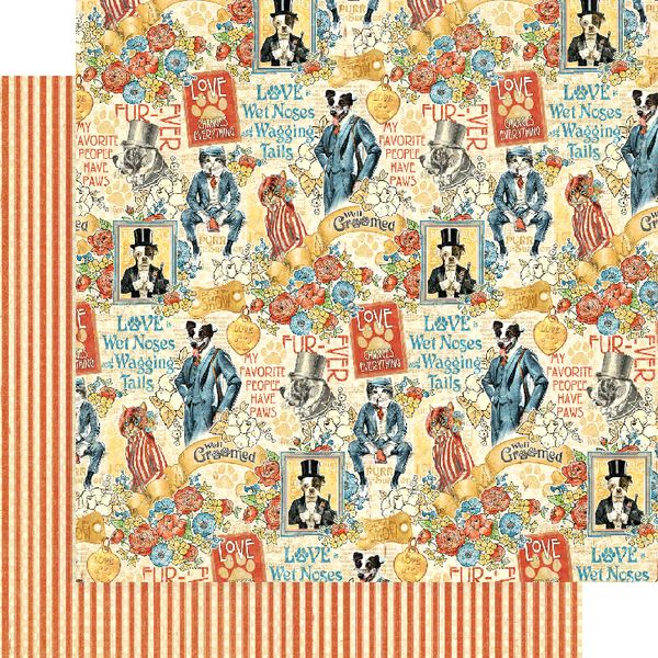 Graphic 45 Well Groomed: Best In 12x12 DS Paper (1 Sheet)