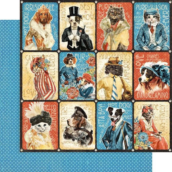 Graphic 45 Well Groomed: Purr-fect 12x12 DS Paper (1 Sheet)