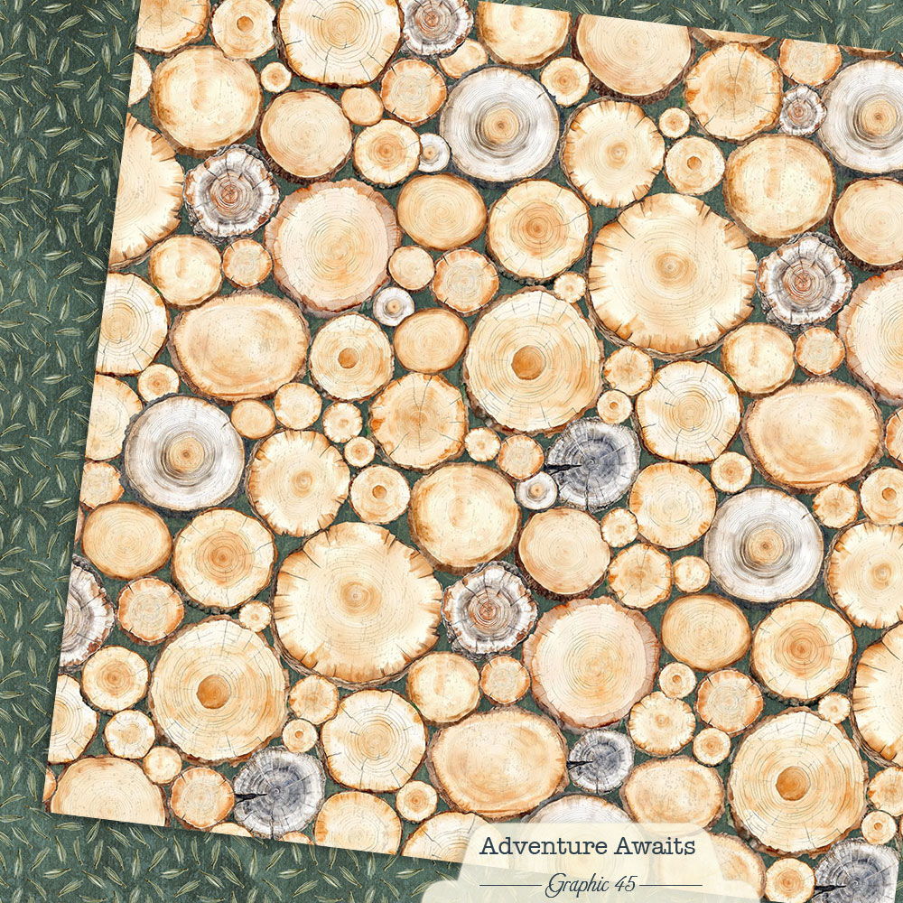 Graphic 45 Adventure Awaits: Tree Rings 12x12 DS Paper (1 Sheet)