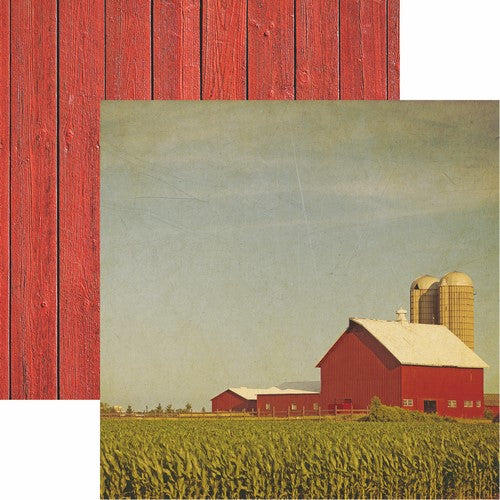 At the Farm: At the Farm