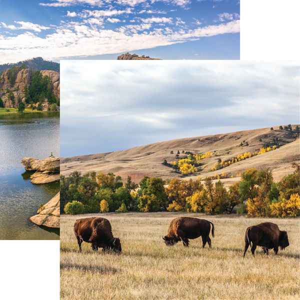 Reminisce Custer State Park DS Paper (1 Sheet)