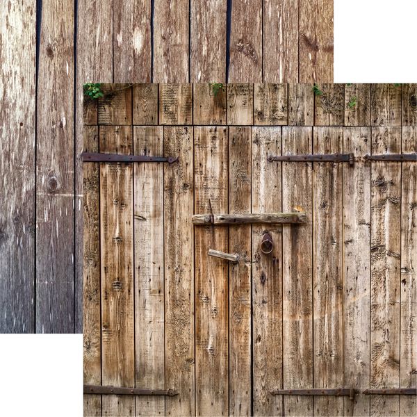 Reminisce Barnwood Beauty 3 DS Paper (1 Sheet)
