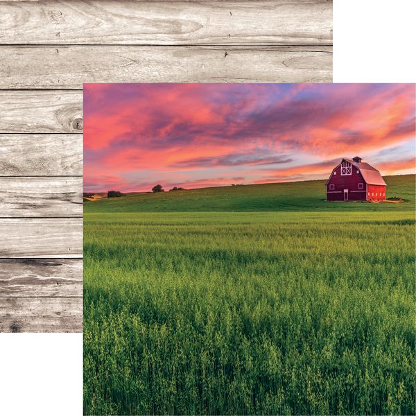 Reminisce Barnwood Beauty: BB6 DS Paper (1 Sheet)