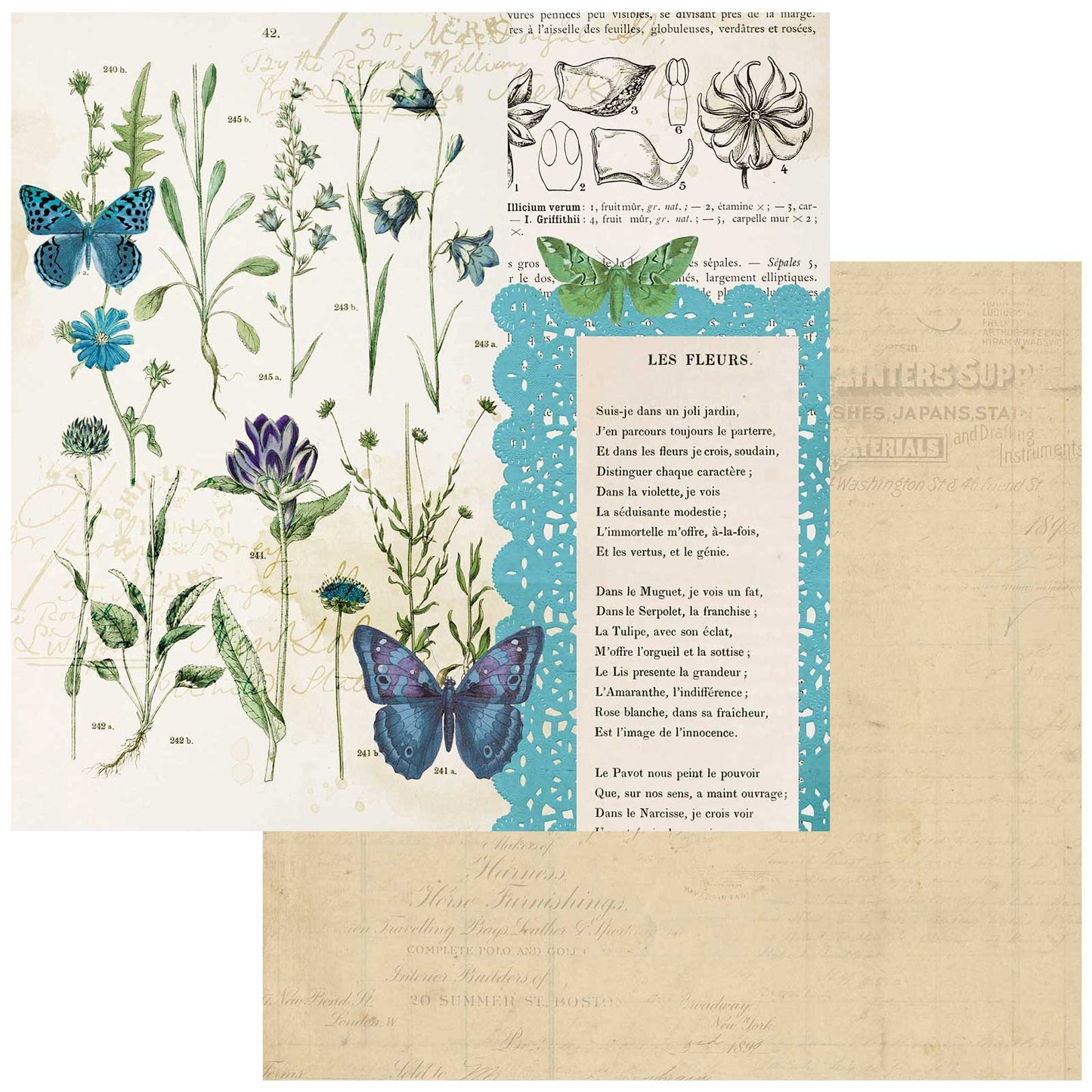 Curators Botanical Double-Sided Cardstock 12"X12"-Les Fleurs