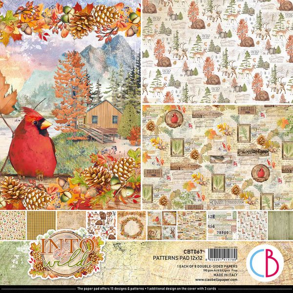 Into the Wild Patterns Pad 12X12