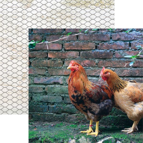 Reminisce Pecking Order DS Paper (1 Sheet)