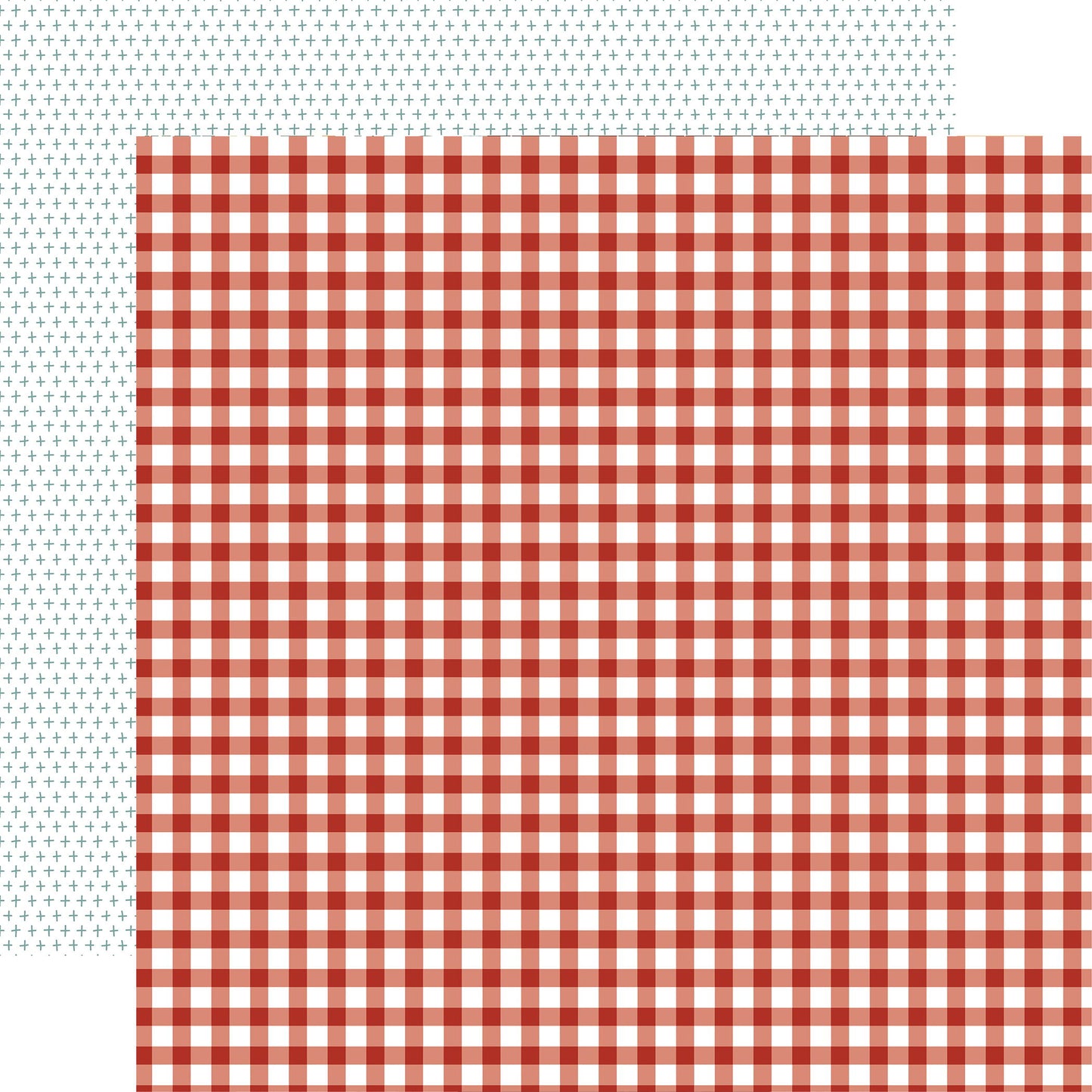 Echo Park Chickens Together Plaid DS Paper (1 Sheet)