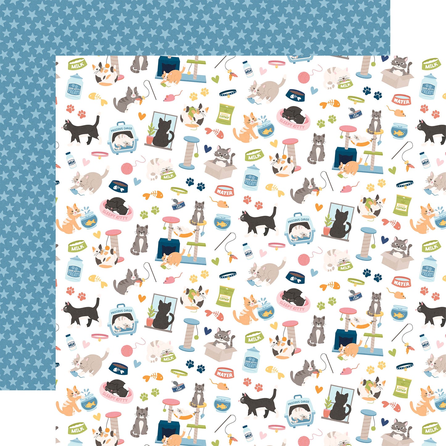 Echo Park Cat Lover: Cat Lover DS Paper (1 Sheet)