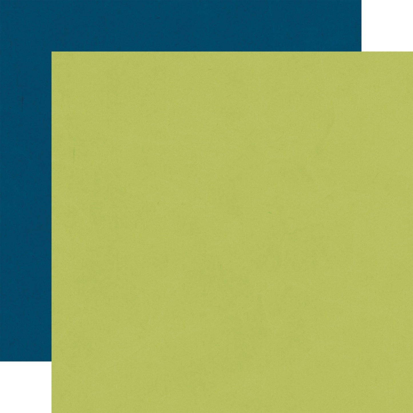 Echo Park Cat Lover: Green / Navy 12x12 Coordinating Solid DS Paper (1 Sheet)