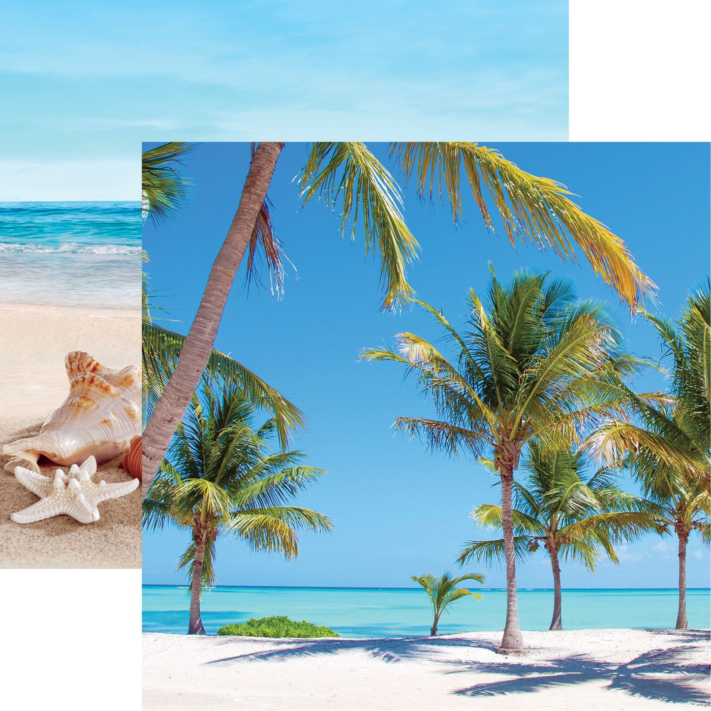 Reminisce Coastal Serenade: Palm Trees DS Paper (1 Sheet)