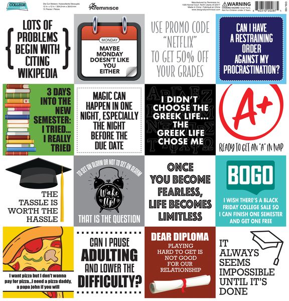 Reminisce College Life 12X12 Sticker
