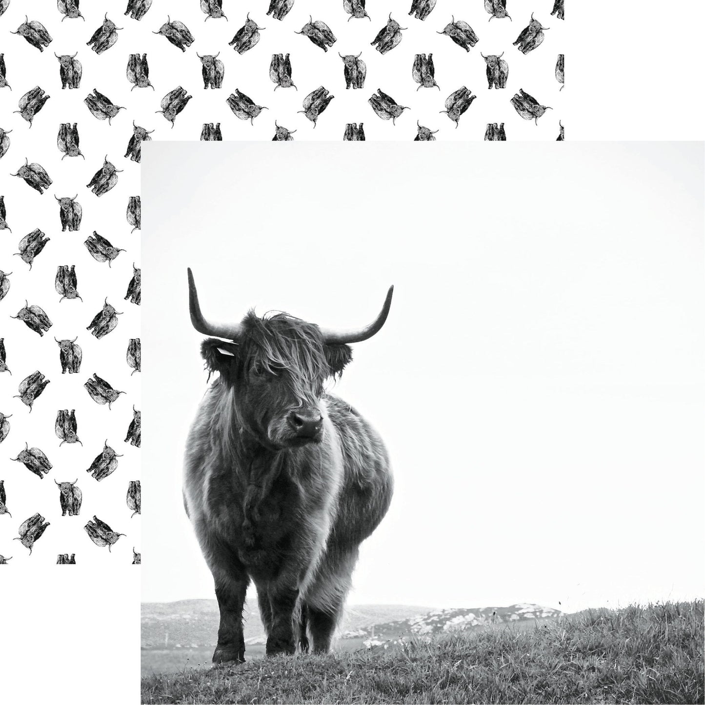 Reminisce Holy Cow: Scottish Highland DS Paper (1 Sheet)