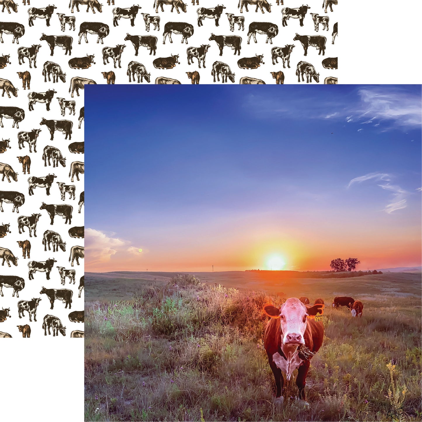 Reminisce Holy Cow: Hereford DS Paper (1 Sheet)