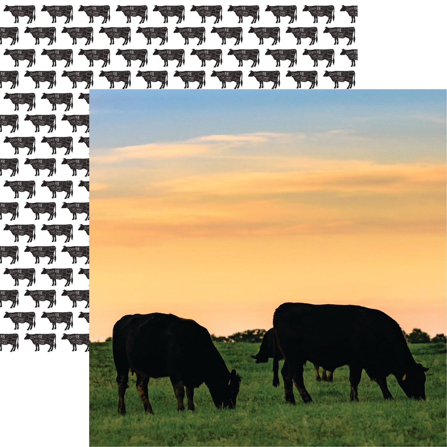 Reminisce Holy Cow: Black Angus DS Paper (1 Sheet)