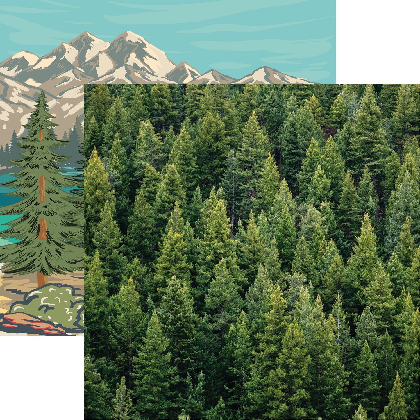 Reminisce Colorado: Evergreen DS Paper (1 Sheet)