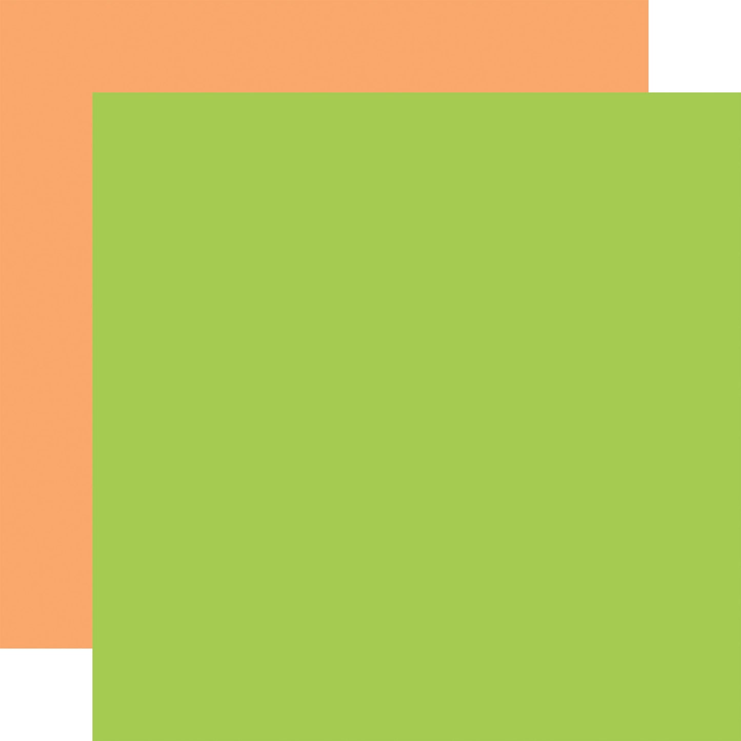 Echo Park Craft Room: Green / Orange 12x12 Coordinating Solid DS Paper (1 sheet)