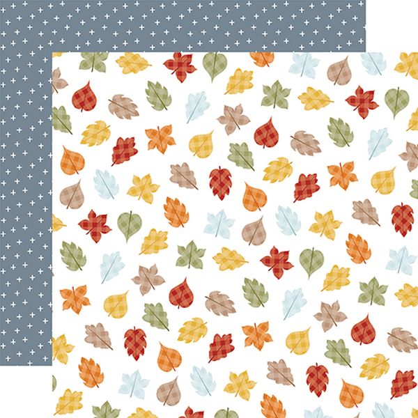 Fall Fever Colorful