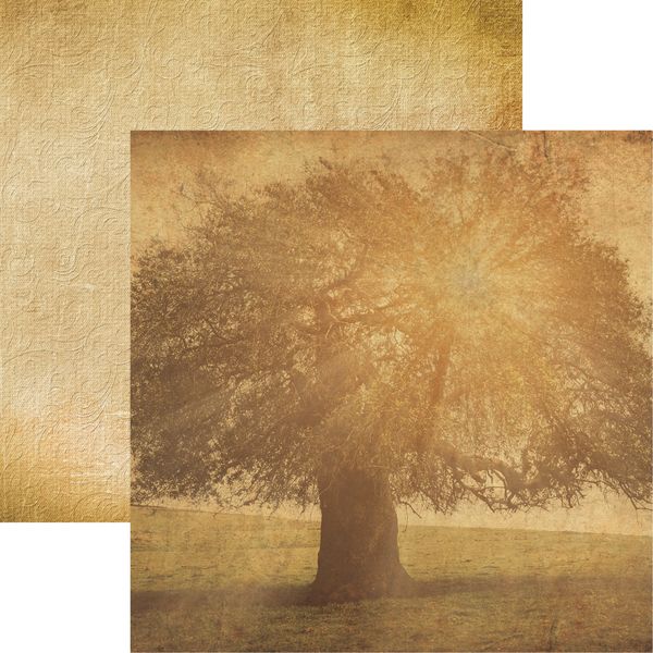 Reminisce Family: Family Tree DS Paper (1 Sheet)