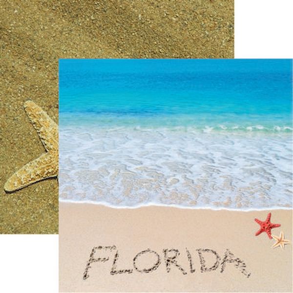 Reminisce Florida: Florida DS Paper (1 Sheet)