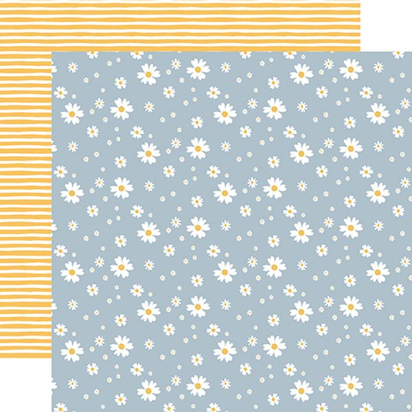 Echo Park Firefly Shining Daisies DS Paper (1 Sheet)