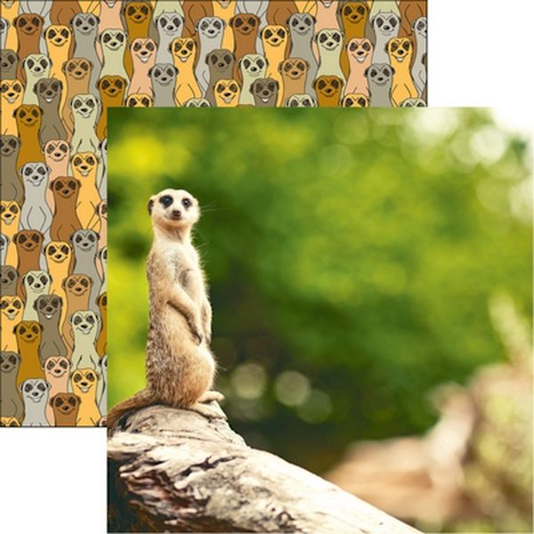 Reminisce King of the Jungle: Meerkat Pap DS Paper (1 Sheet)