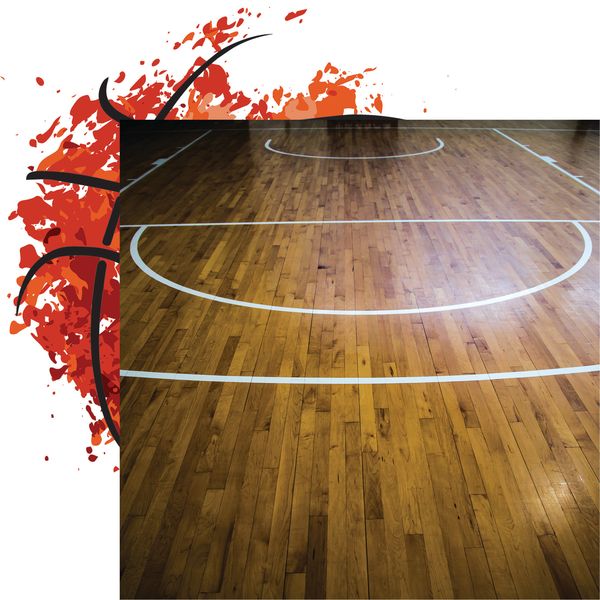 Reminisce Let's Play Basketball: Hardwood DS Paper (1 Sheet)