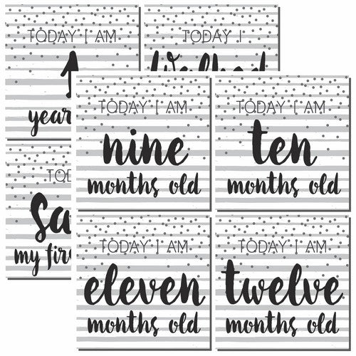 Reminisce Modern Baby: First Year Too DS Paper (1 Sheet)