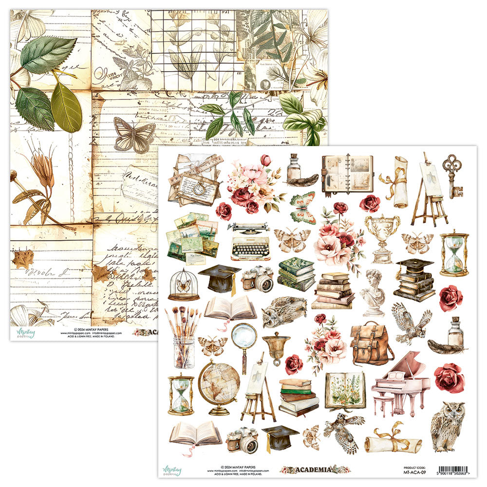 Mintay Academia 12 x 12 Elements Paper