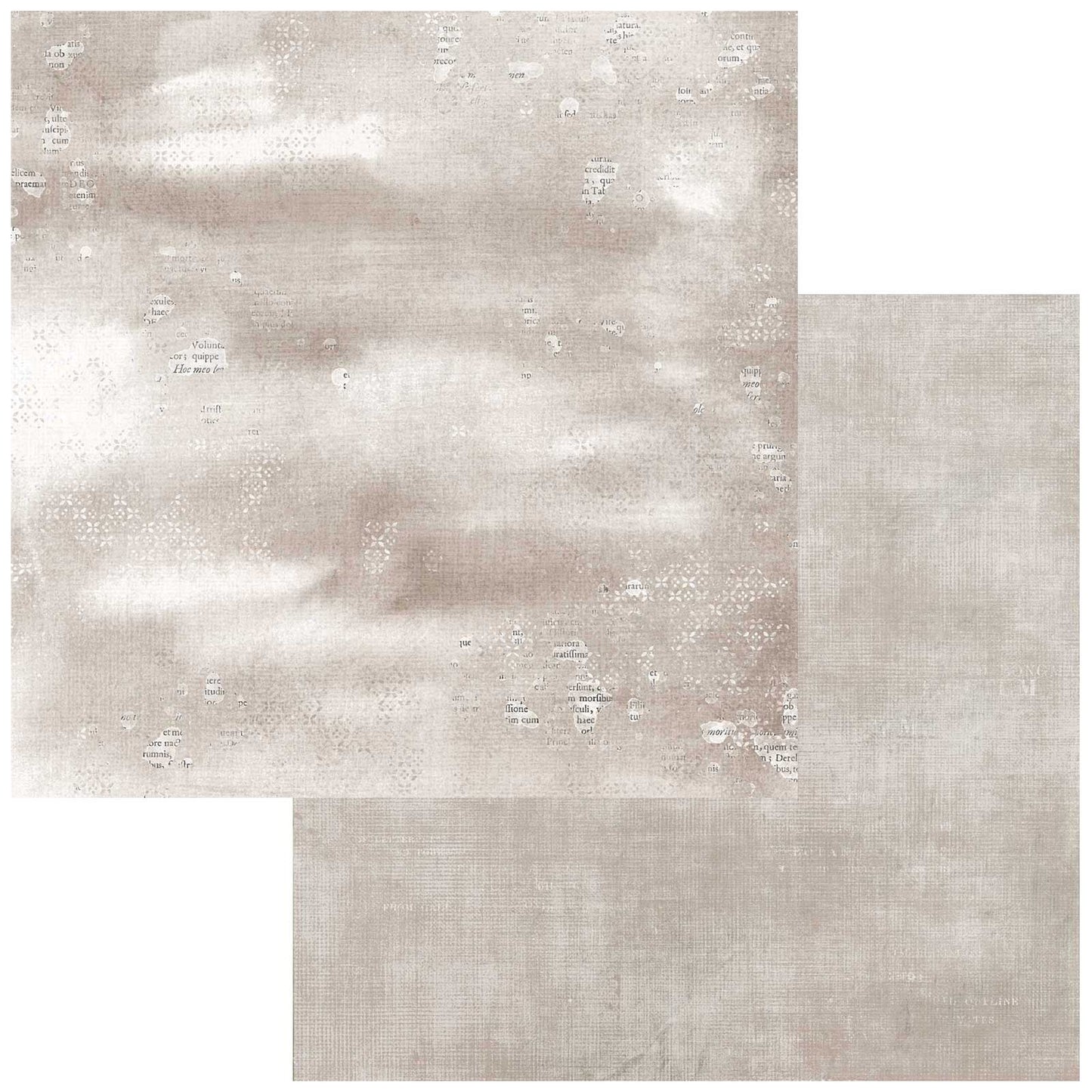 Nature Study Double-Sided Cardstock 12"X12"-Colored Foundations 4
