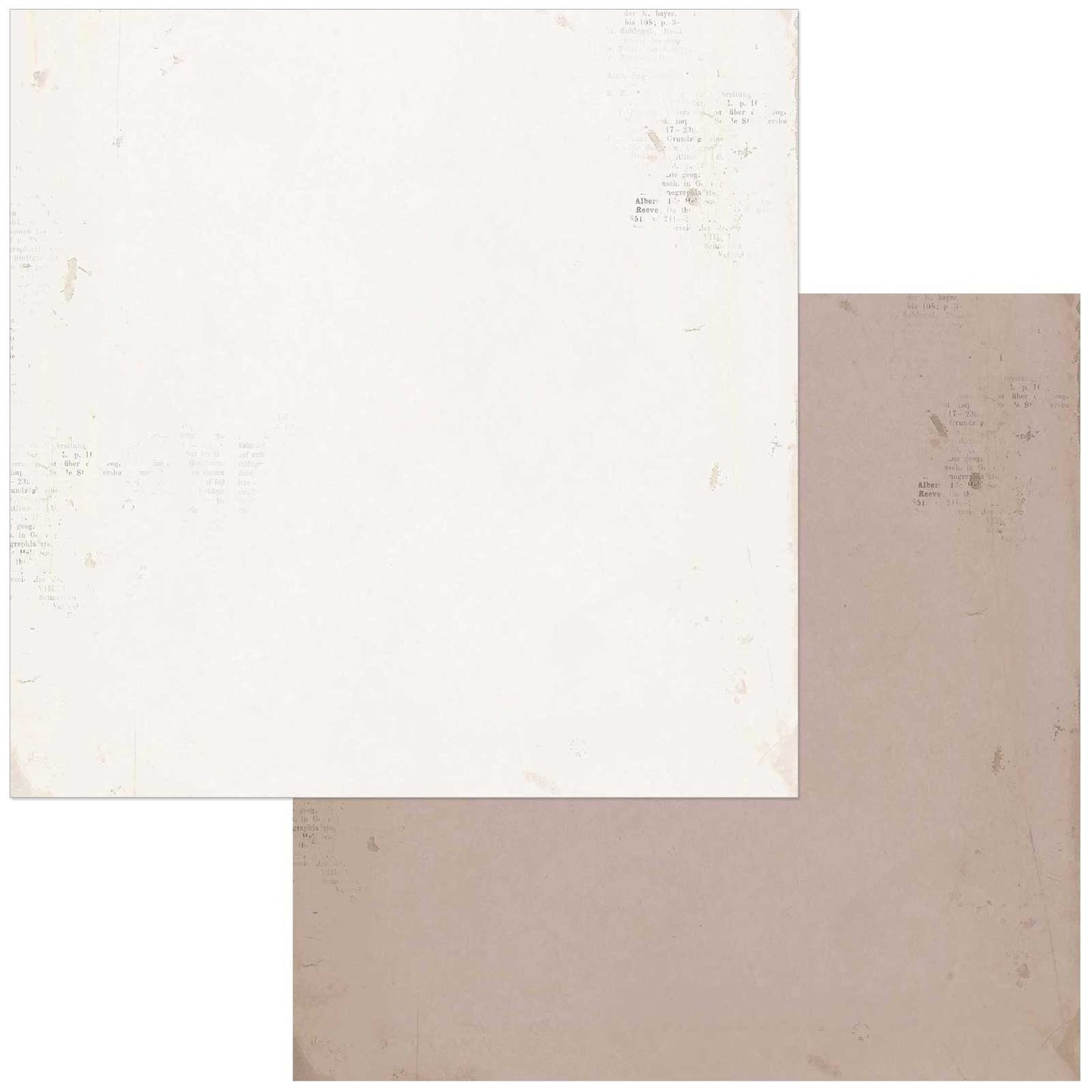 Nature Study Double-Sided Cardstock 12"X12"-Ledger 1