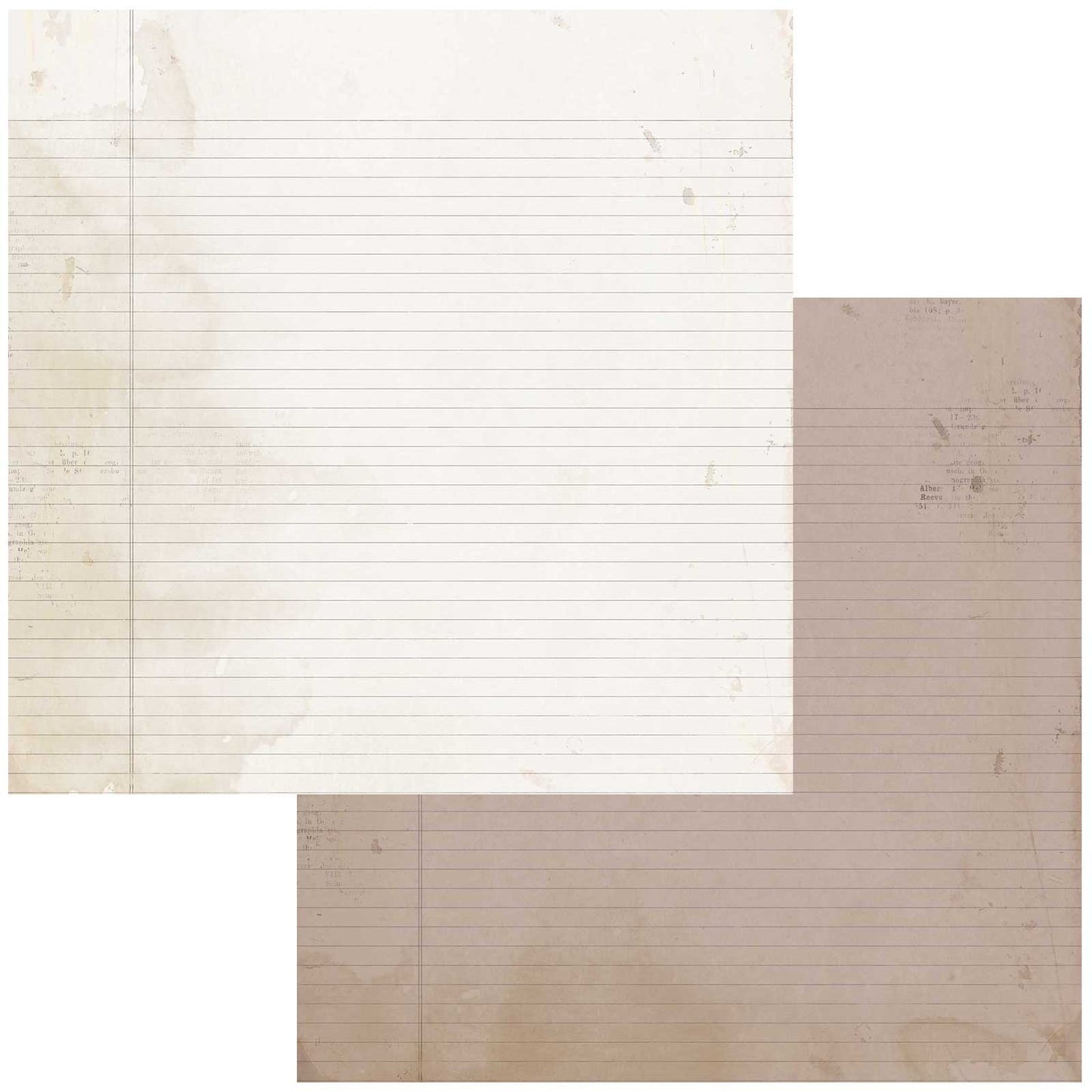Nature Study Double-Sided Cardstock 12"X12"-Ledger 2