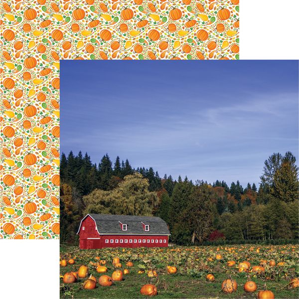 Reminisce Pumpkin Patch: Pumpkin Patch DS Paper (1 Sheet)