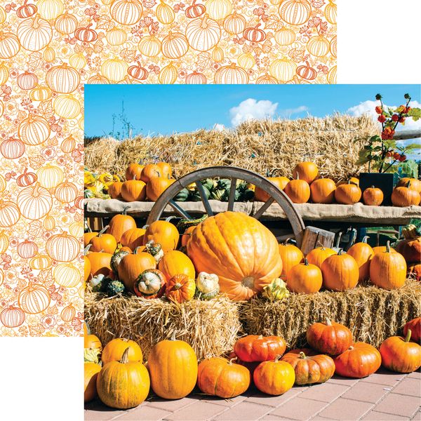 Reminisce Pumpkin Patch: Pumpkin Display DS Paper (1 Sheet)