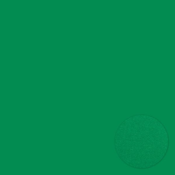 Bazzill Adhesive Green 12x12 Cardstock