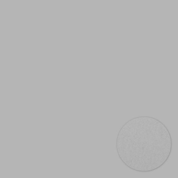 Bazzill Gray Prismatic 12x12 Cardstock