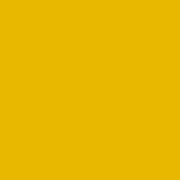 Bazzill Gold Coins 12x12 Cardstock