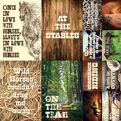 Reminisce DISC - Saddle Up: 12x12 Poster Sticker