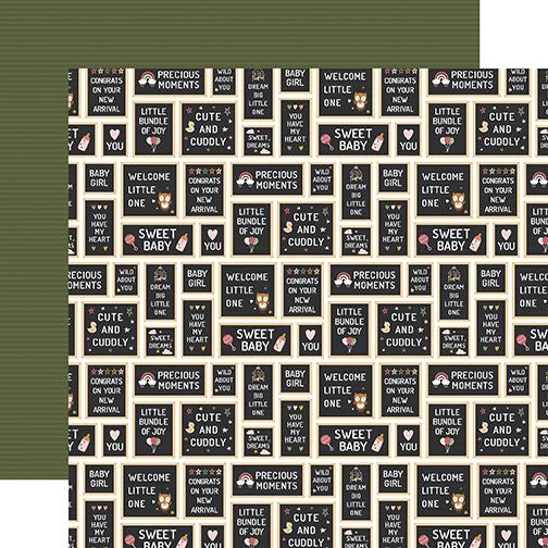 Echo Park Special Delivery Baby Girl Signs DS Paper (1 Sheet)