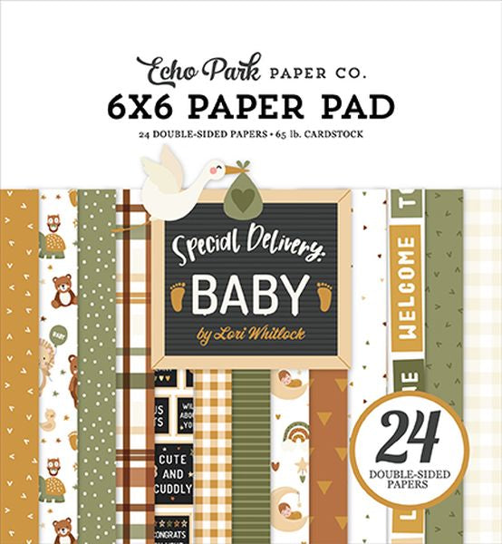 Echo Park Special Delivery Baby 6X6 Pad