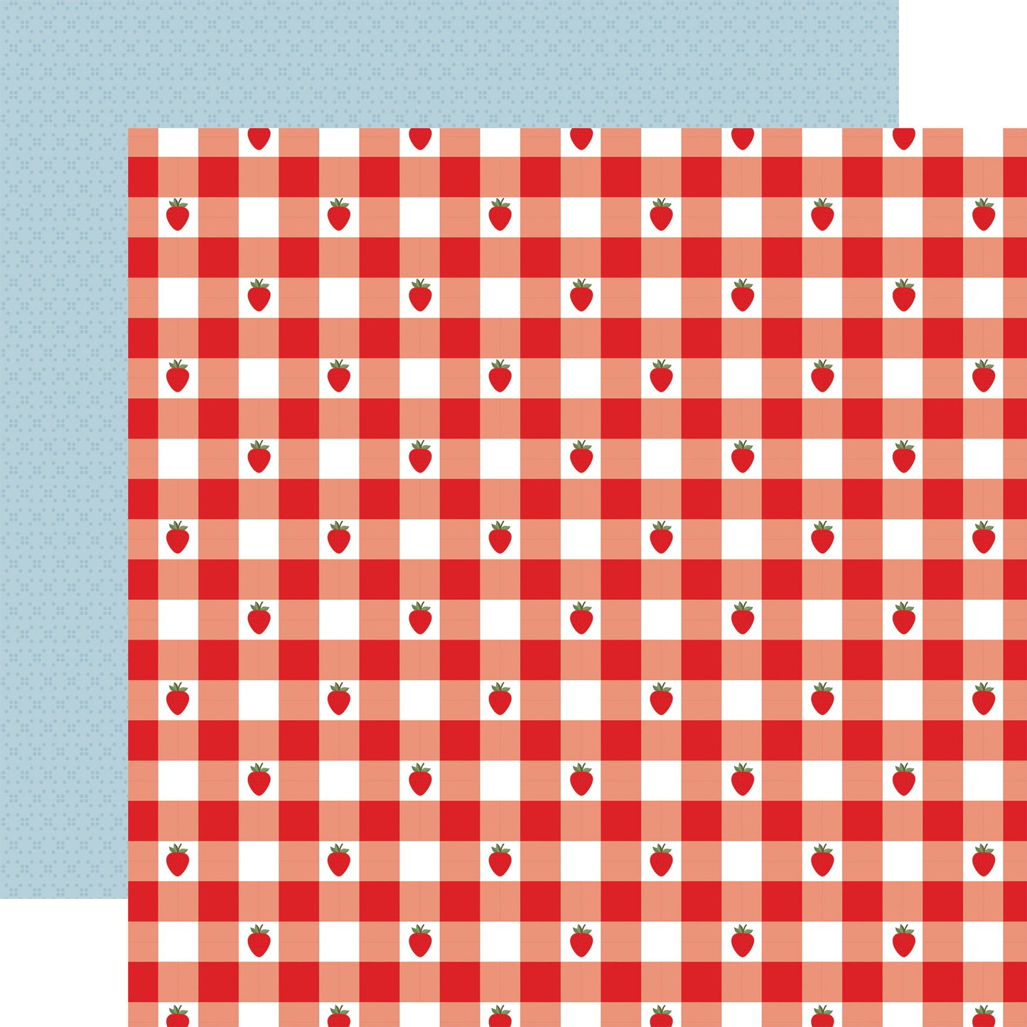 Echo Park Strawberry Fields: Strawberry Gingham DS Paper (1 Sheet)