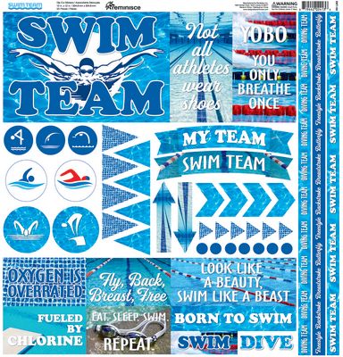 Reminisce DISC - Swim Team 12x12 Stickers