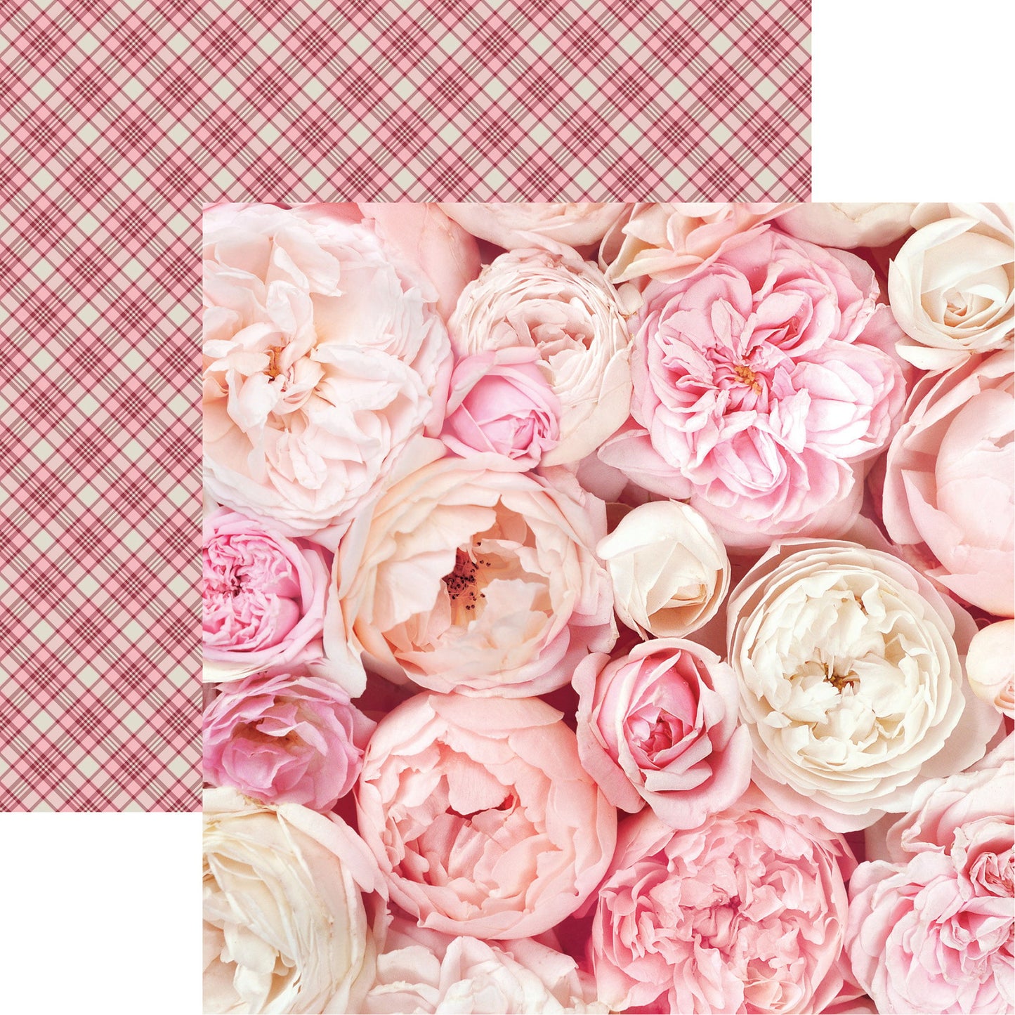 Reminisce Sweet Valentine: Flowers of Love DS Paper (1 Sheet)