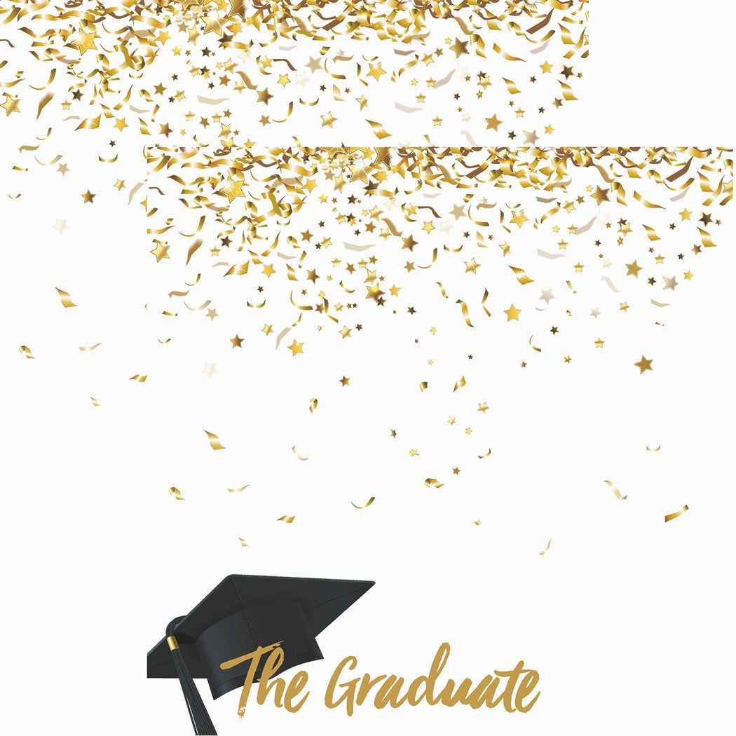 Reminisce Graduate 2017: The Graduate DS Paper (1 Sheet)