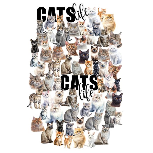 Willow & Grace Creative Cuts - Cats
