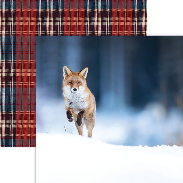 Reminisce Winter Canvas: Snow Leap DS Paper (1 Sheet)