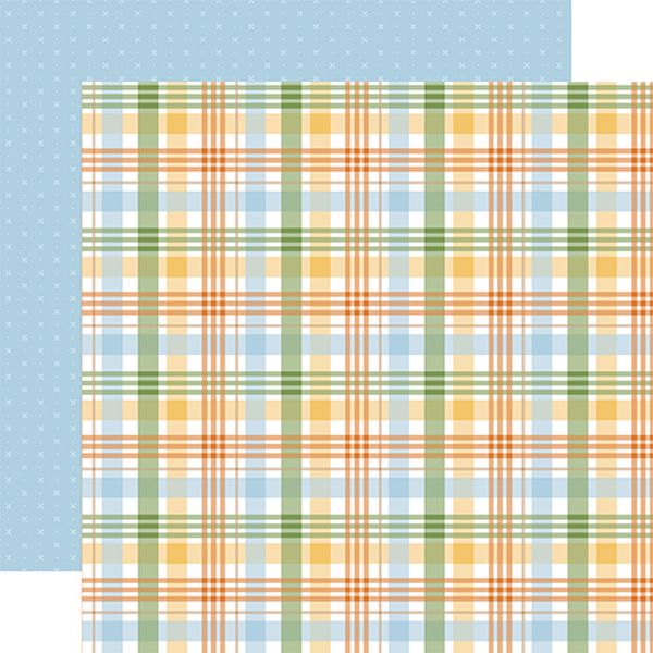 Echo Park Winnie the Pooh Baby Peek A Boo Plaid DS Paper (1 Sheet)