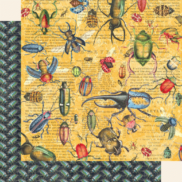 Graphic 45 Flutter: Serendipitous 12x12 DS Paper (1 Sheet)